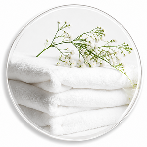 Detergent & Cleaning Fragrance Oils