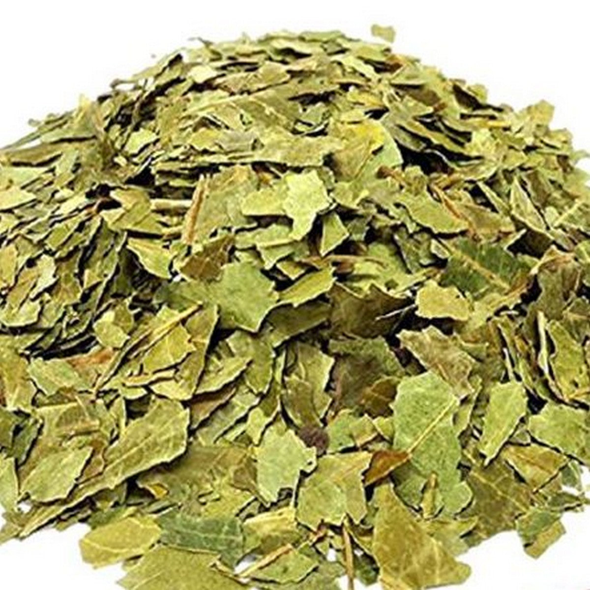 Dry Neem Leaves