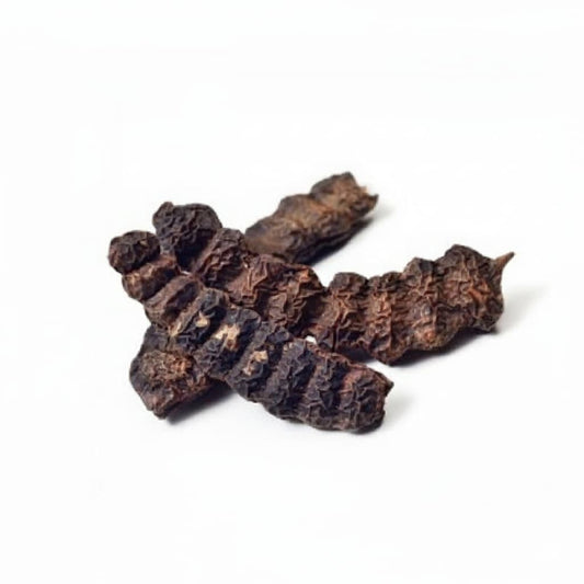 شیکاکائی